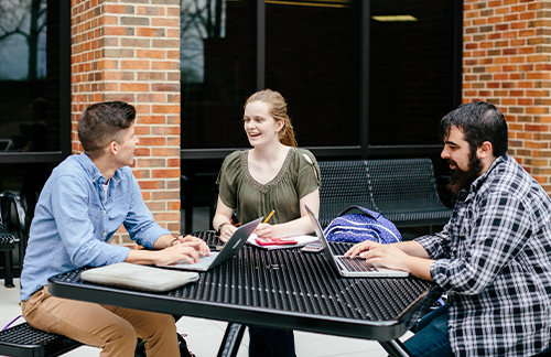 students studying on campus